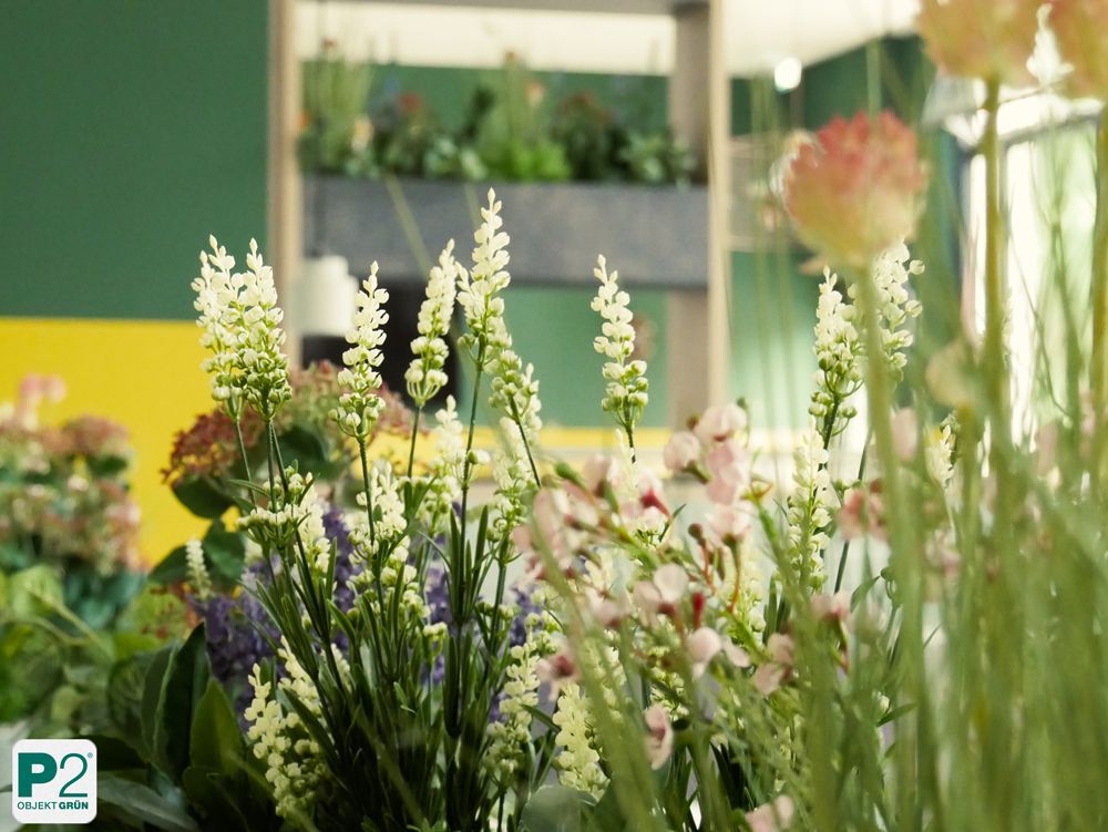 Dekorative GrünDekorative Grünpflanzenpflanzen