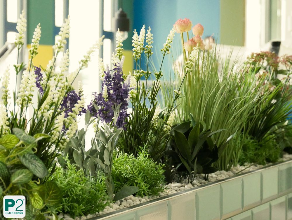 Dekorative Grünpflanzen