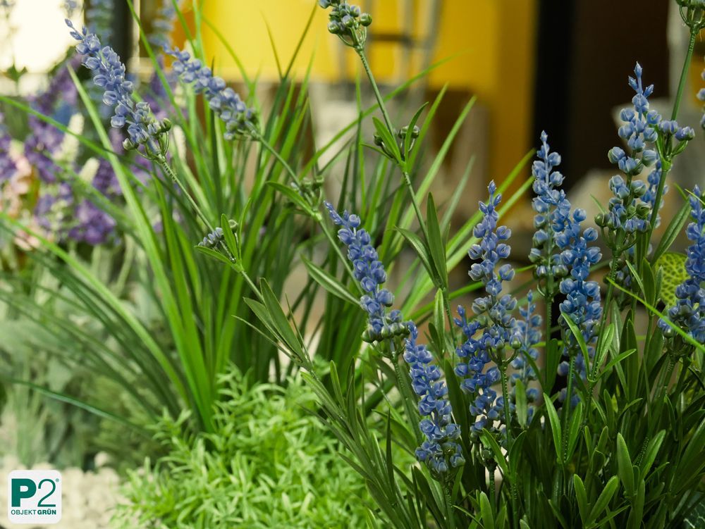 Dekorative Grünpflanzen