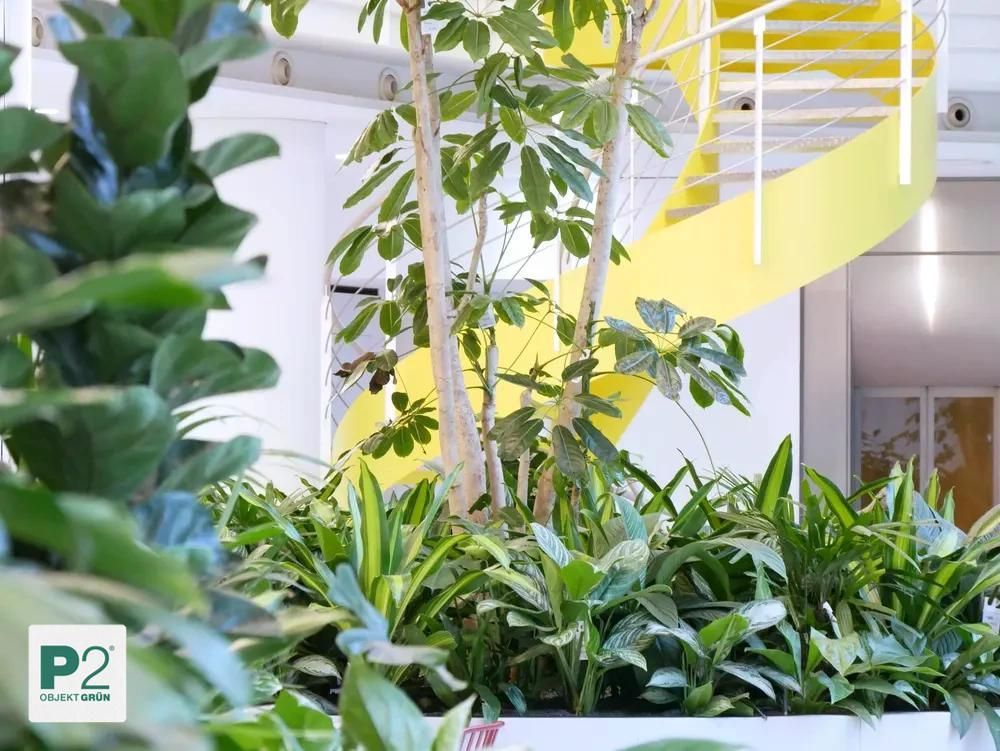 Innenraum mit vielen grünen Pflanzen und gelber Wendeltreppe, Bürogebäude von P2 Objekt Grün