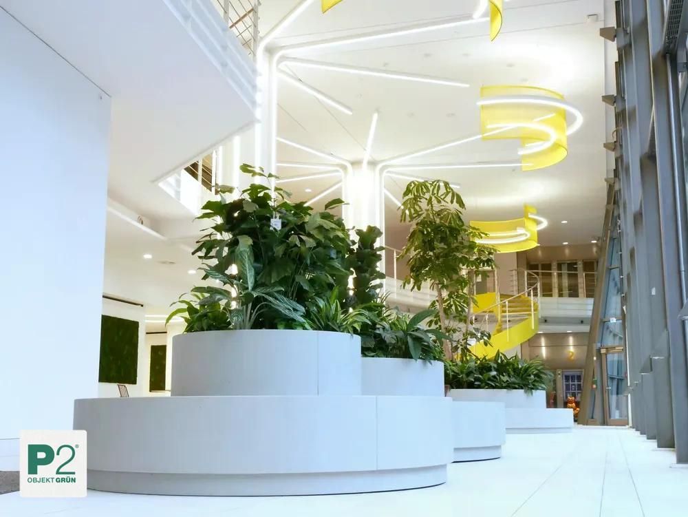 Große weiße Pflanzgefäße mit grünen Pflanzen in modernem, hellem Innenraum mit gelben Treppen und Deckenleuchten