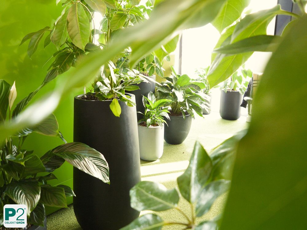 Grünes Büro mit Pflanzen und modernen Töpfen.