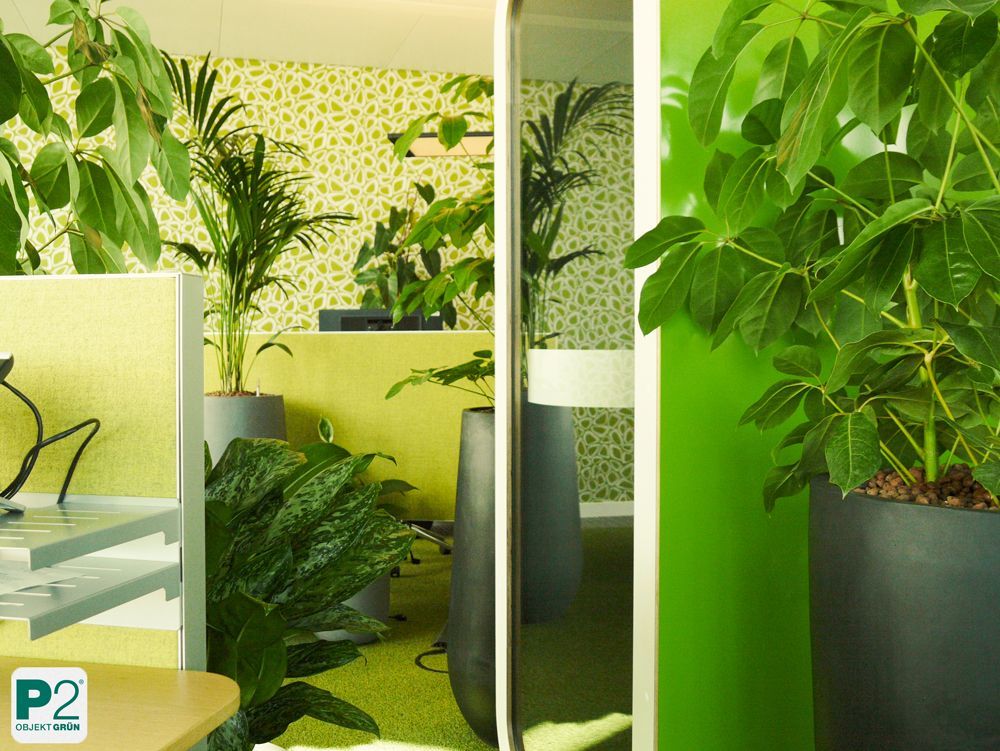 Grünes Büro mit Pflanzen und modernen Töpfen.