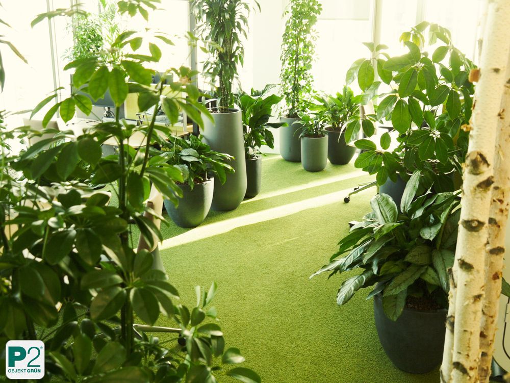 Grünes Büro mit Pflanzen und modernen Töpfen.