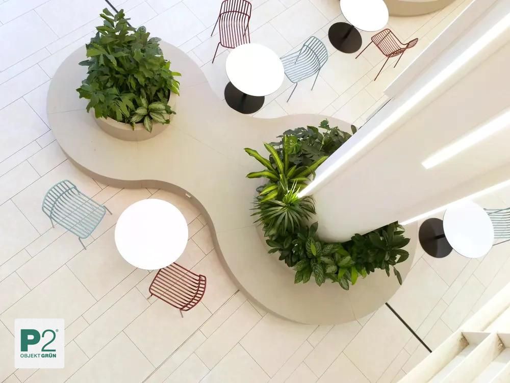 Moderne Sitzgruppe mit weißen Tischen, bunten Stühlen und geschwungenem Pflanzbeet im Innenraum von P2 Objekt Grün