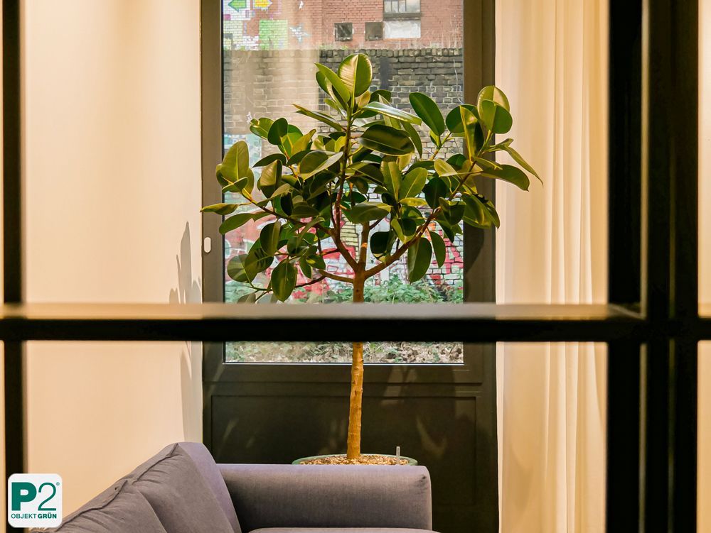 Innenansicht mit grünen Pflanzen in einem modernen Raum