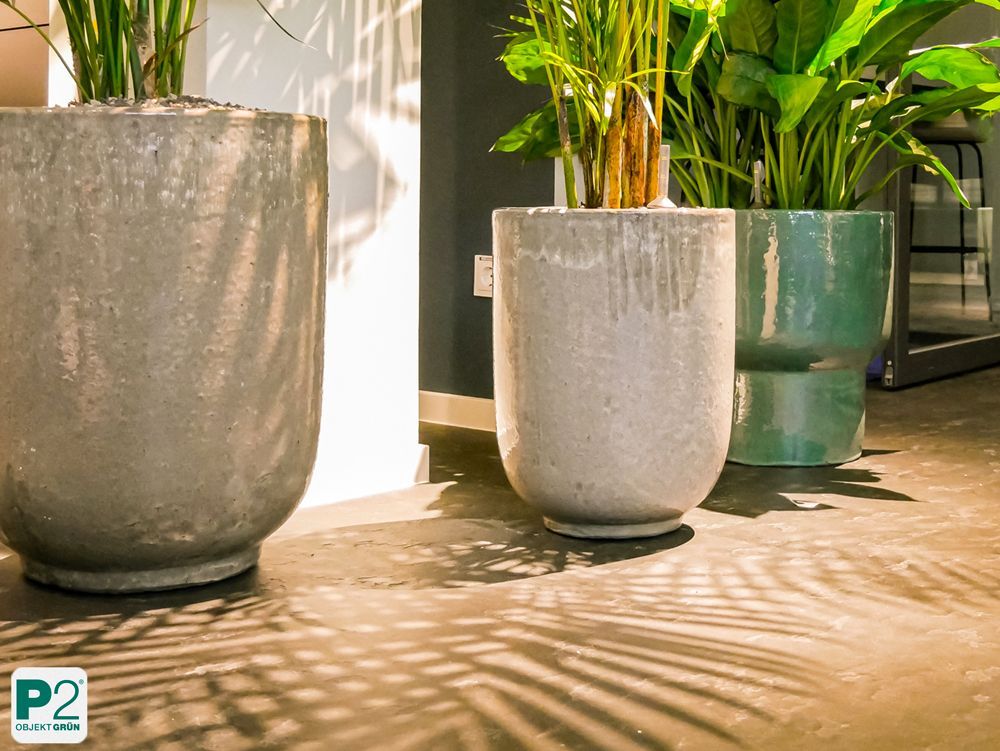 Innenansicht mit grünen Pflanzen in einem modernen Raum