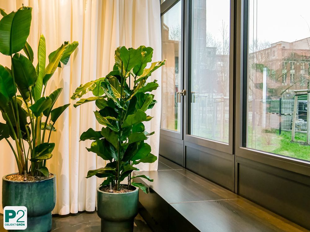 Innenansicht mit grünen Pflanzen in einem modernen Raum