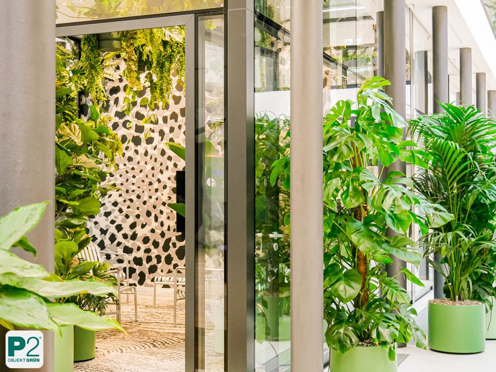 Dekorative Pflanzen in einem hellen und modernen Raum