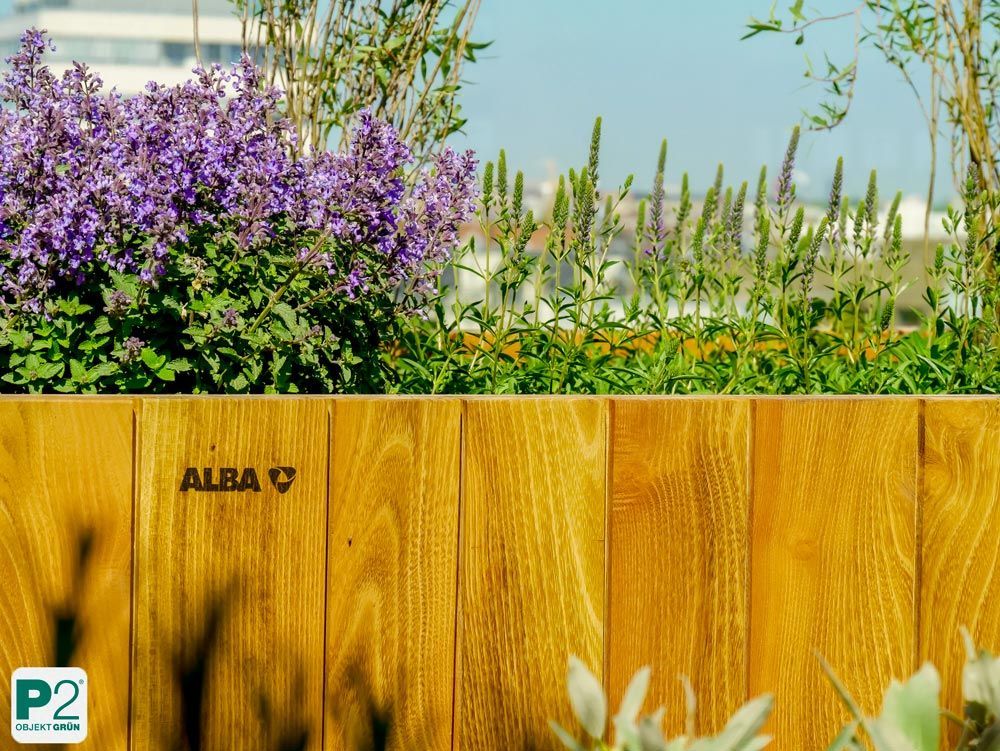 Buntes Blumenbeet mit lila Blüten und grünen Pflanzen.