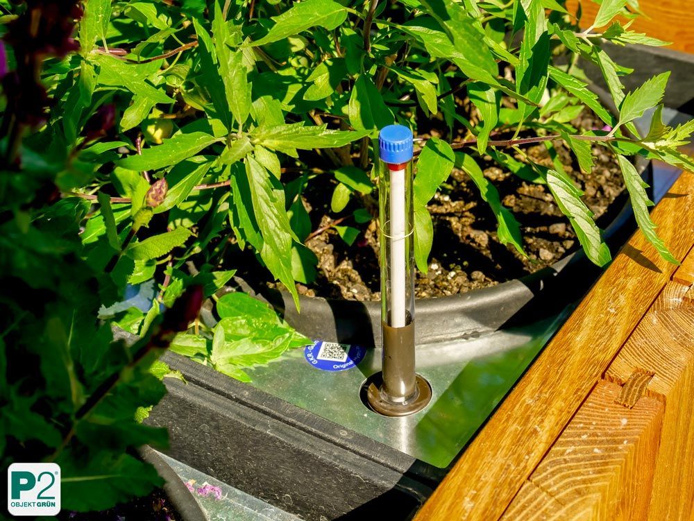 Automatisches Bewässerungssystem in einem Garten mit Pflanzen.