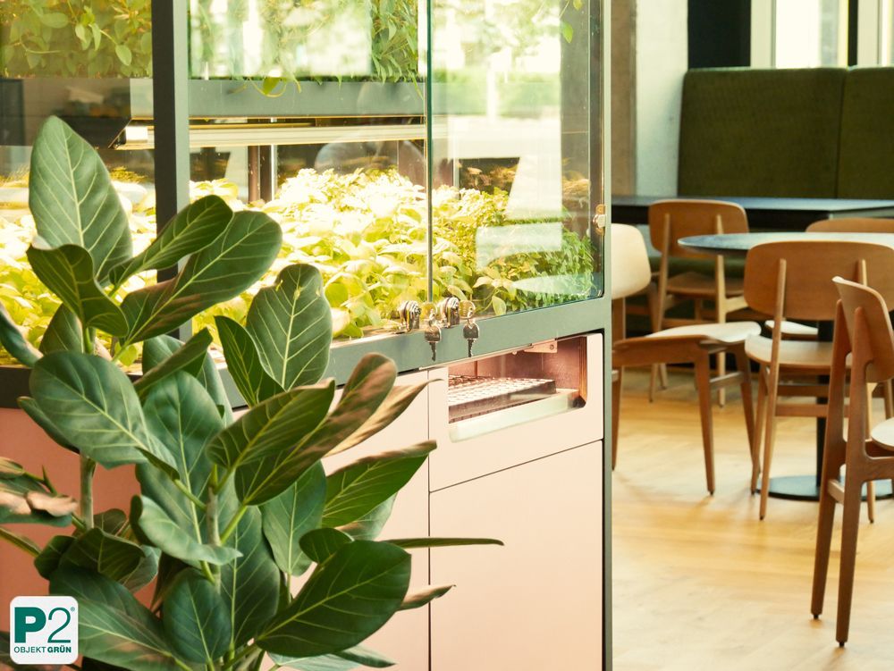 Moderner Indoor-Garten mit frischen Pflanzen in einem stilvollen Raum.