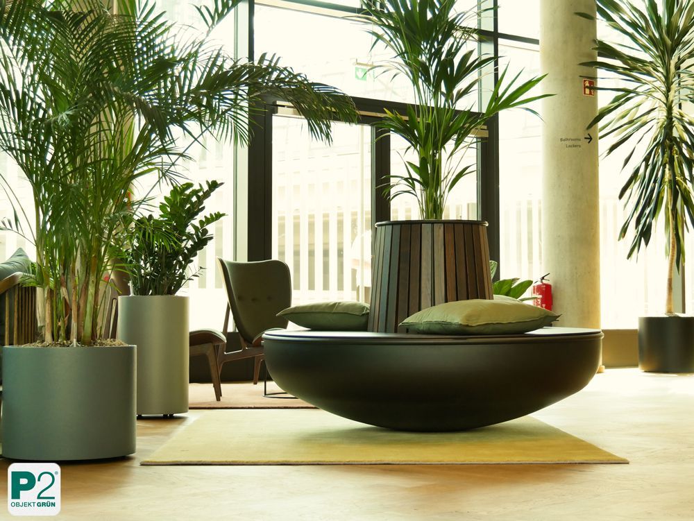 Moderne Sitzgelegenheit mit Pflanzen im Innenraum.