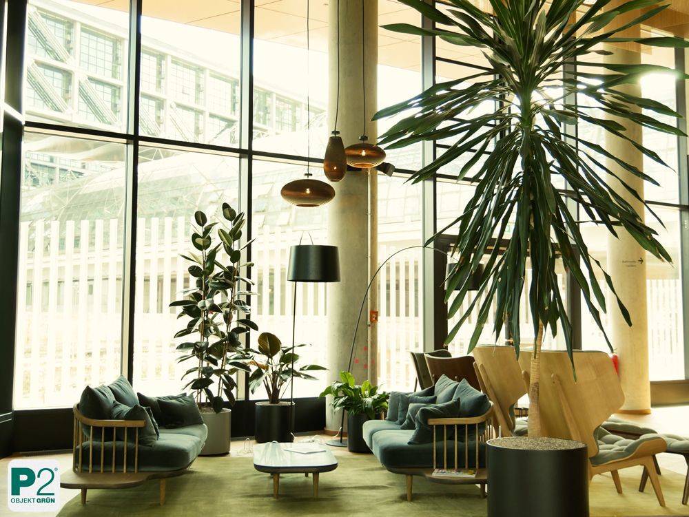 Modernes Wohnzimmer mit Pflanzen und gemütlichen Möbeln.