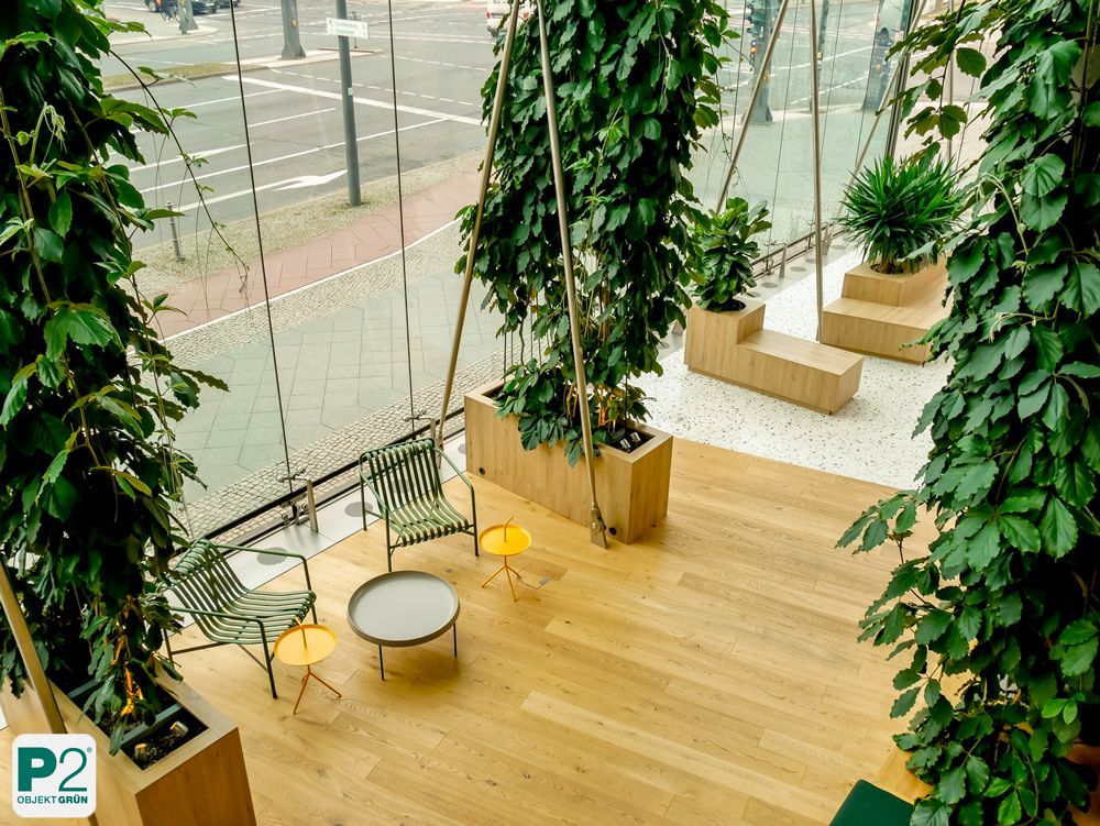 Moderner Innenraum mit Pflanzen