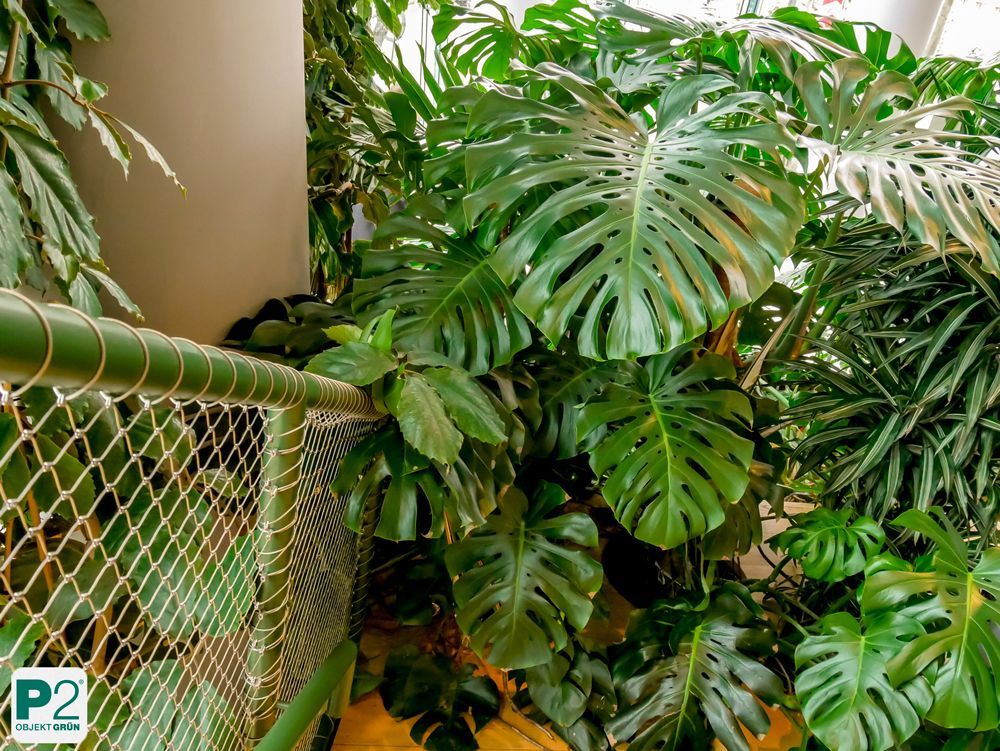 Üppige grüne Pflanzen in einem modernen Raum.