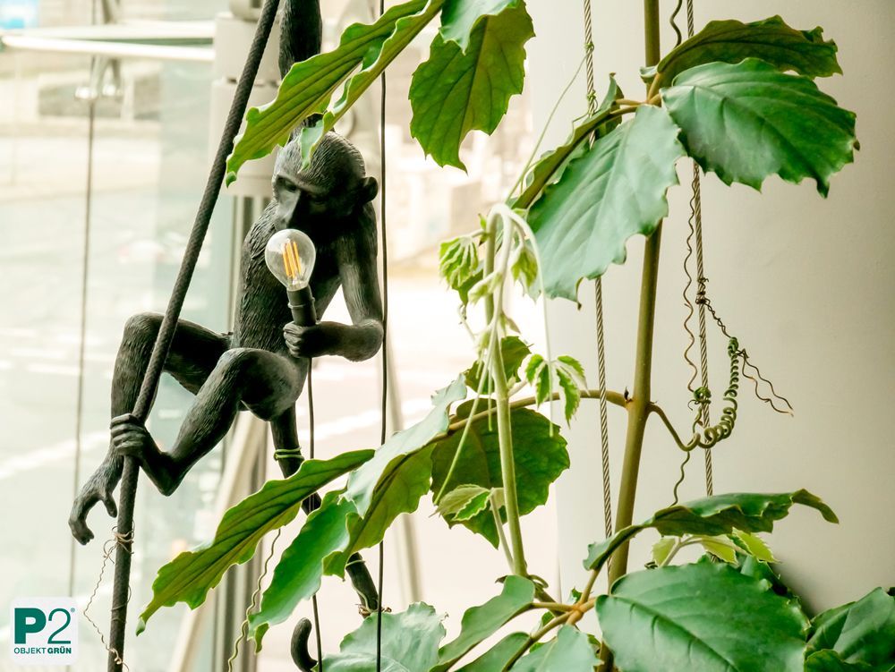 Eine stilvolle Affenlampe, die an einer Pflanze hängt.