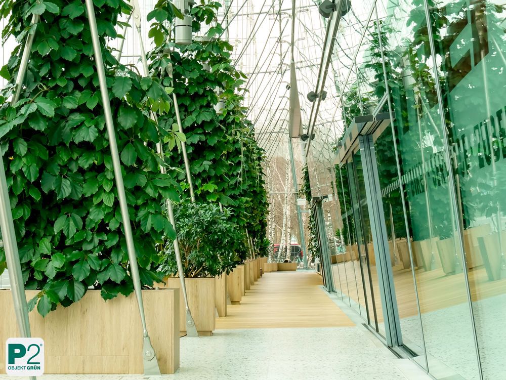 Moderne Innenarchitektur mit Pflanzen und Glaswänden.