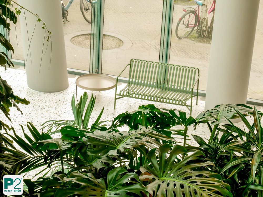 Grüne Sitzgelegenheit in einem lichtdurchfluteten Raum mit Pflanzen.