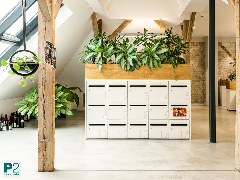 Modernes Büro mit Pflanzen und stilvollem Design