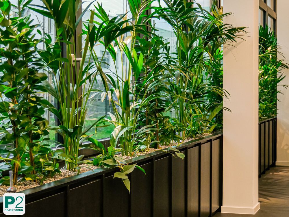 Innenansicht mit grünen Pflanzen in einem modernen Raum