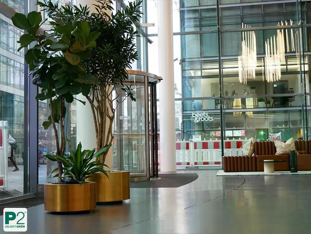 Moderner Innenraum mit Pflanzen und Glaswänden