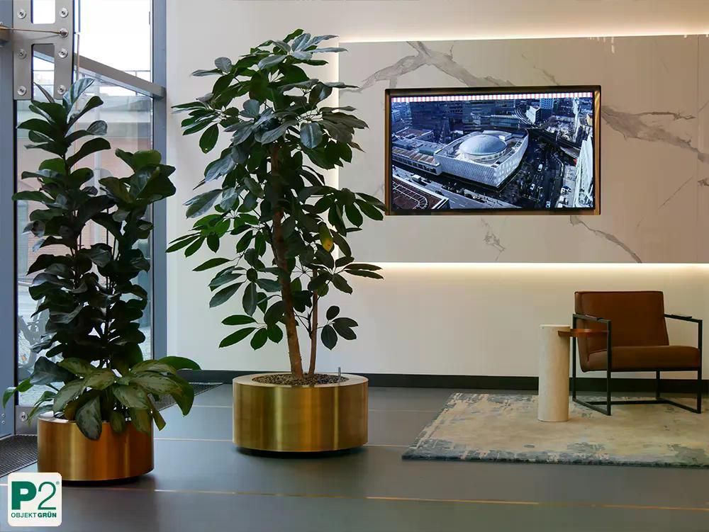 Moderne Büroeinstellung mit Pflanzen und Bildschirm