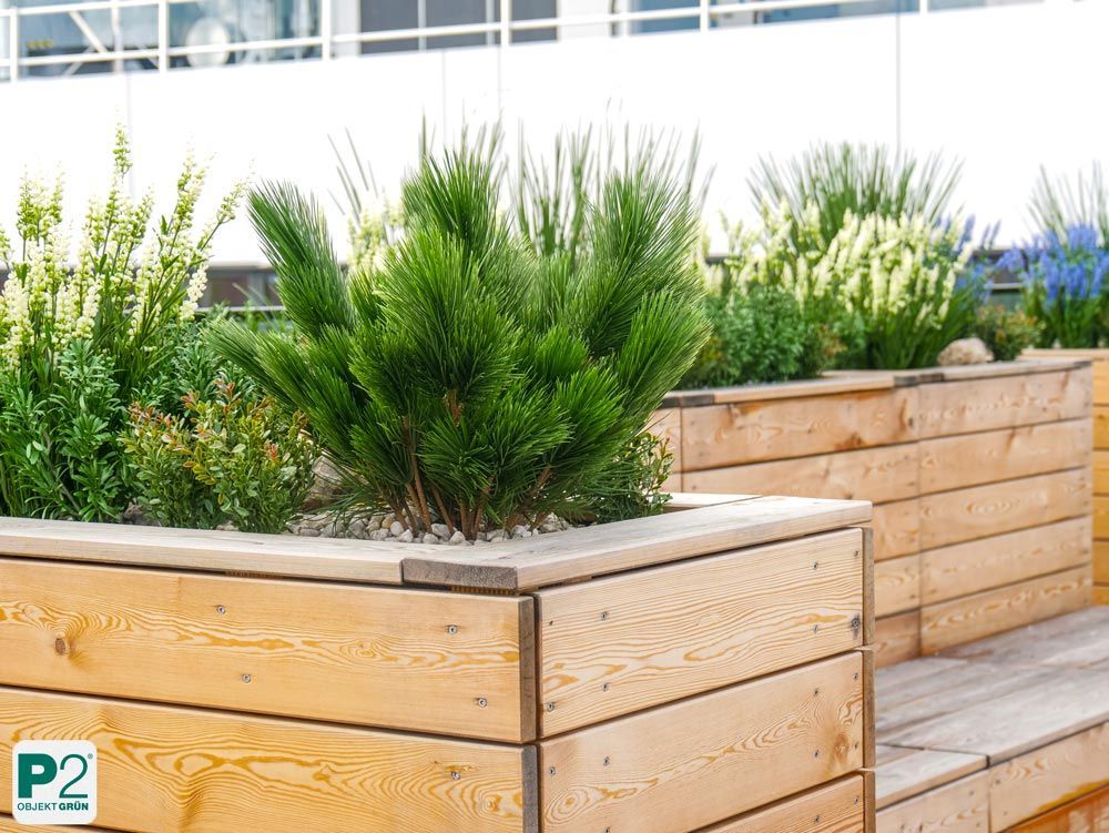 Holzpflanzkasten mit verschiedenen grünen Pflanzen und Blumen.