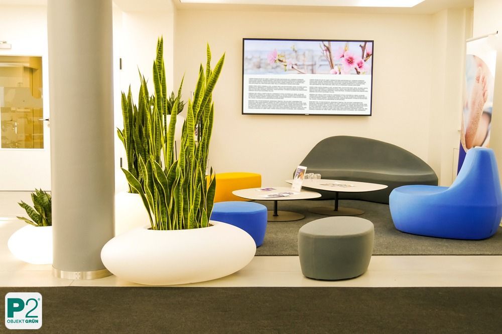 Lichtdurchfluteter Innenraum mit verschiedenen Topfpflanzen