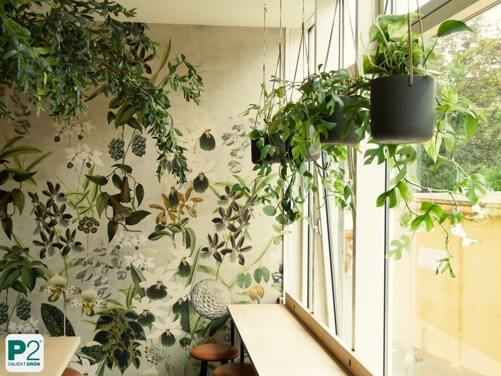 Helle Sitzecke mit Pflanzenwand und hängenden Topfpflanzen neben großen Fenstern, P2 Objekt Grün Logo