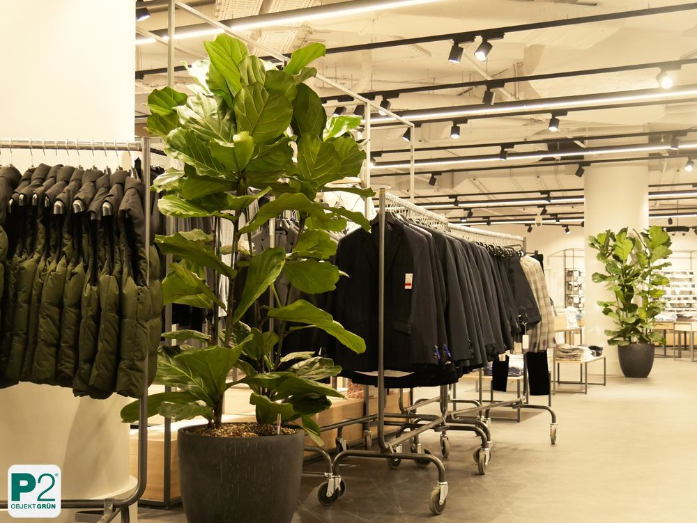 Modernes Modegeschäft mit Pflanzen und Kleidung