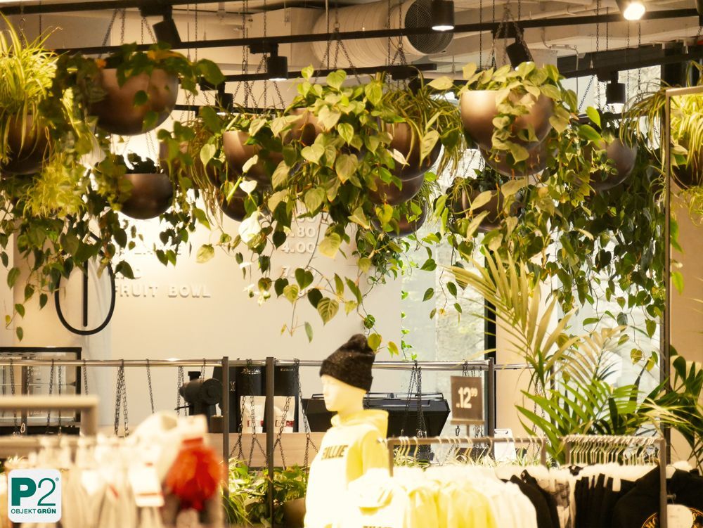 Modernes Modegeschäft mit Pflanzen und Kleidung