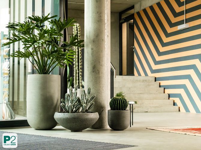 Stilvolle Blumentöpfe mit Pflanzen im modernen Wohnraum