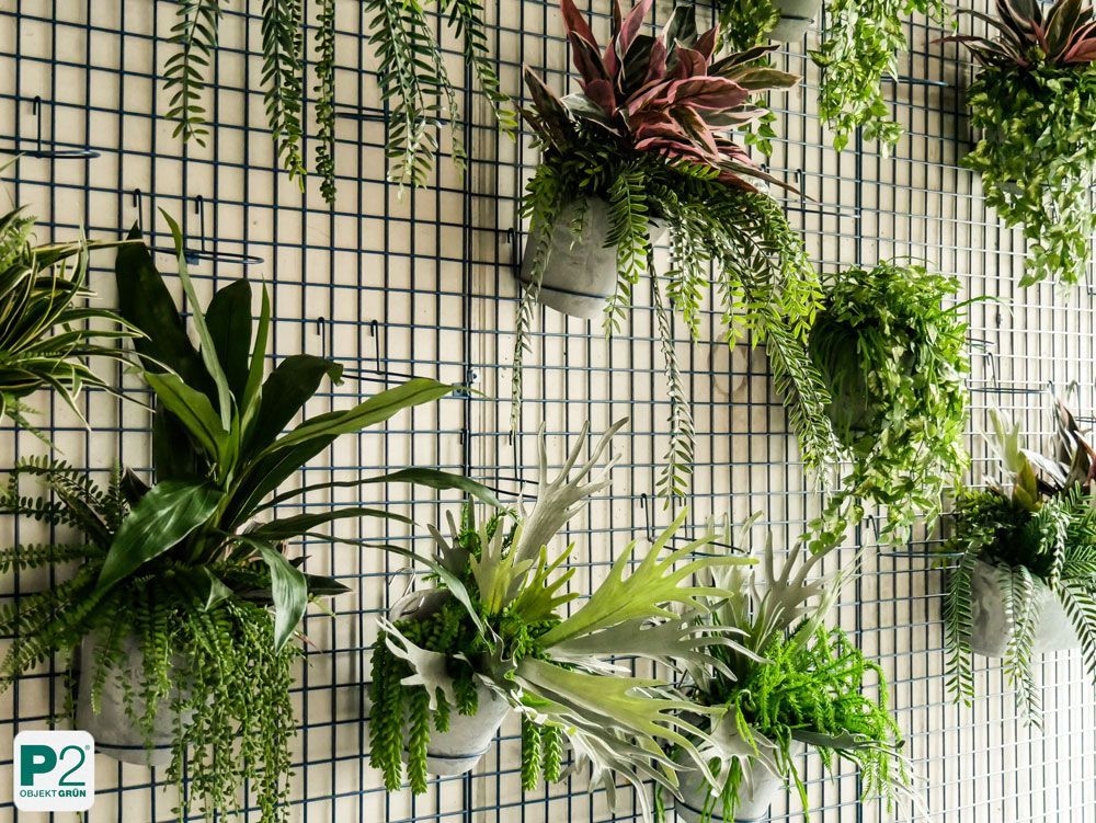 Wand mit verschiedenen grünen Pflanzen in Töpfen.