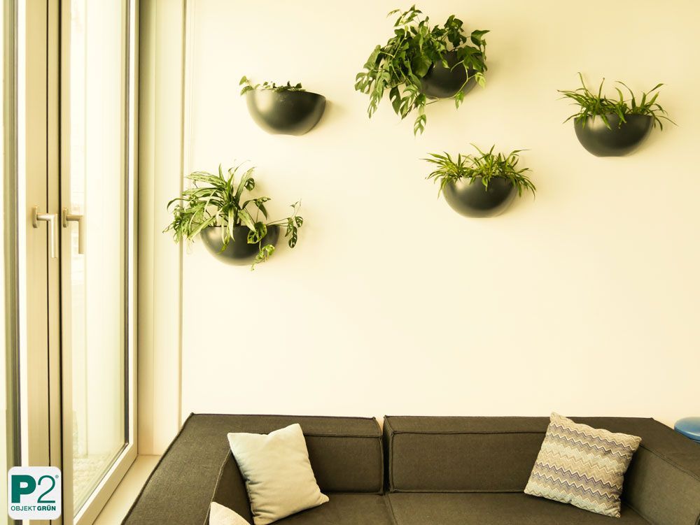 Wanddekor mit Pflanzen in einem modernen Wohnzimmer