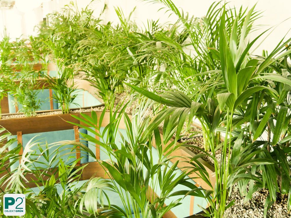 Üppige grüne Pflanzen in einem modernen Raum.