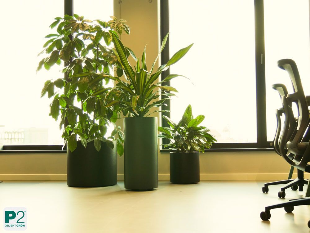 Stilvolles Bürodesign mit einer Pflanze