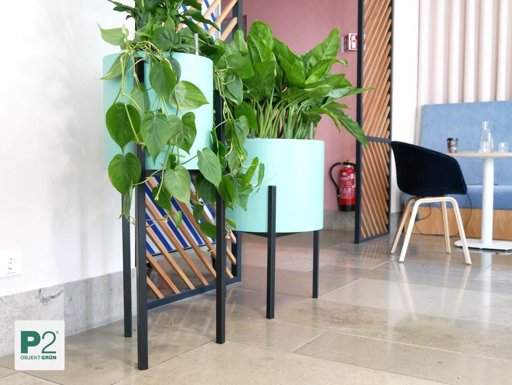 Stilvolle moderne Blumentöpfe mit grünen Pflanzen in einem Innenraum.