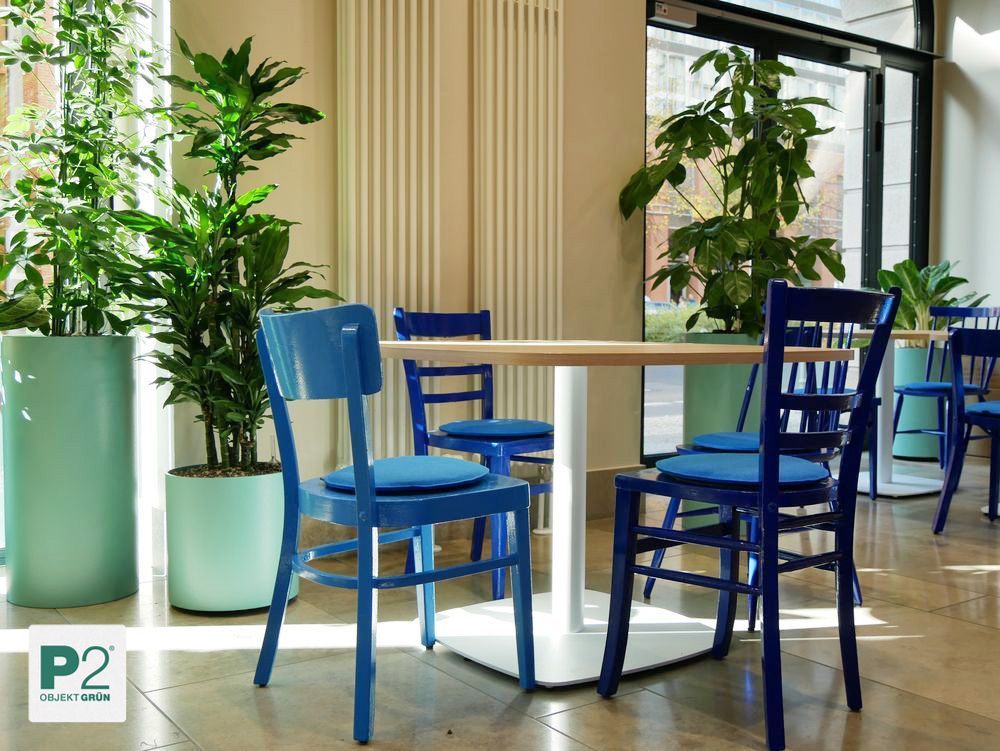 Ein modernes Café mit blauen Stühlen und grünen Pflanzen.