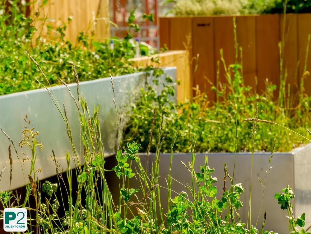 Nahaufnahme eines grünen Gartenbeets mit verschiedenen Pflanzen.