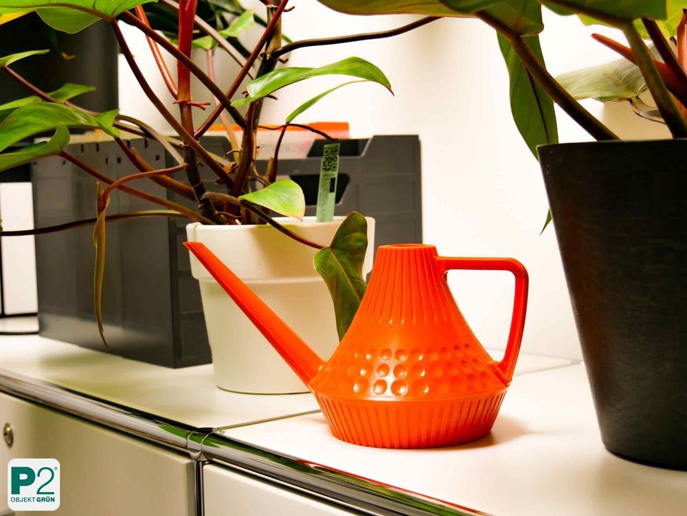 Orange Gießkanne neben mehreren Zimmerpflanzen auf einem Tisch vor weißer Wand.