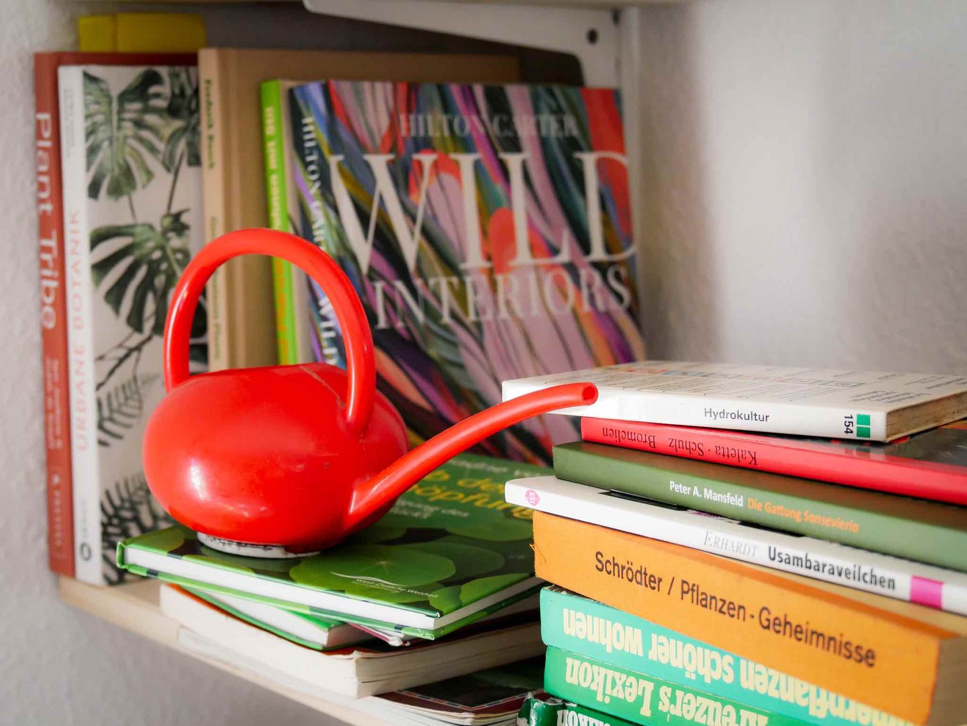 Rote Gießkanne auf einem Bücherstapel mit Pflanzenratgebern auf einem Regal.