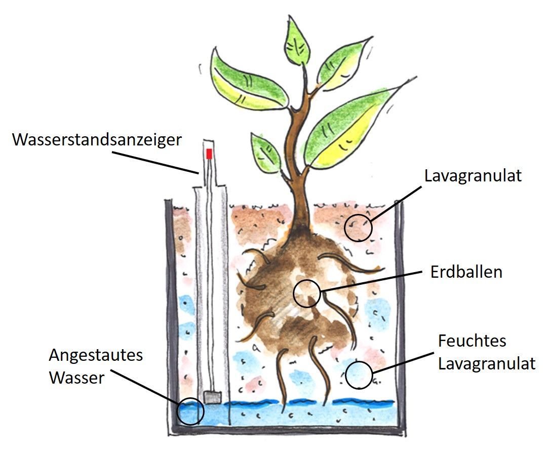 Beschriftete Zeichnung eines Semi-Hydro-Systems mit Wasserstandsanzeiger, Lavagranulat, Erdballen und angestautem Wasser