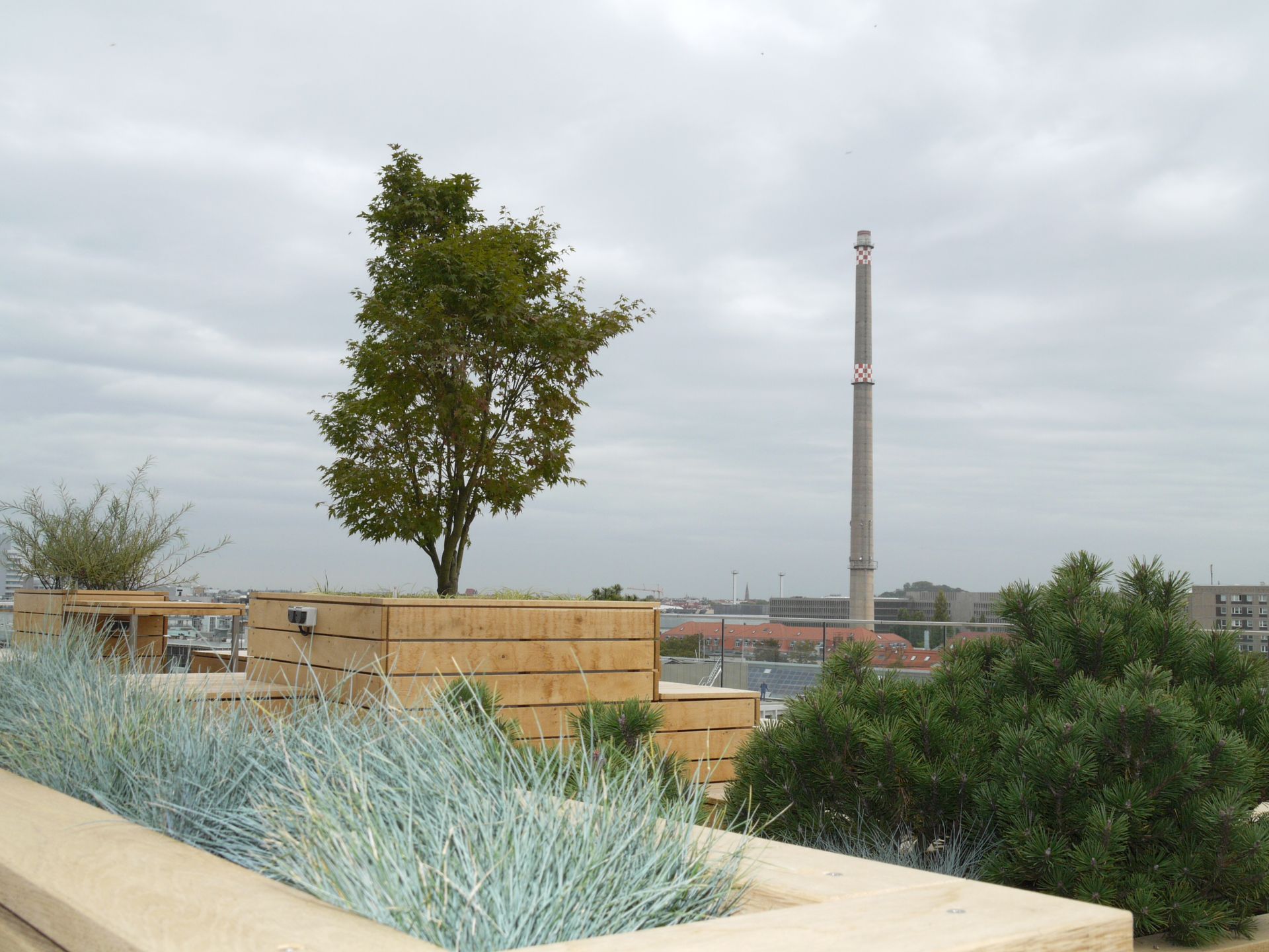 Ein Dachgarten mit hölzernen Pflanzgefäßen mit grünen Sträuchern und einem kleinen Baum.