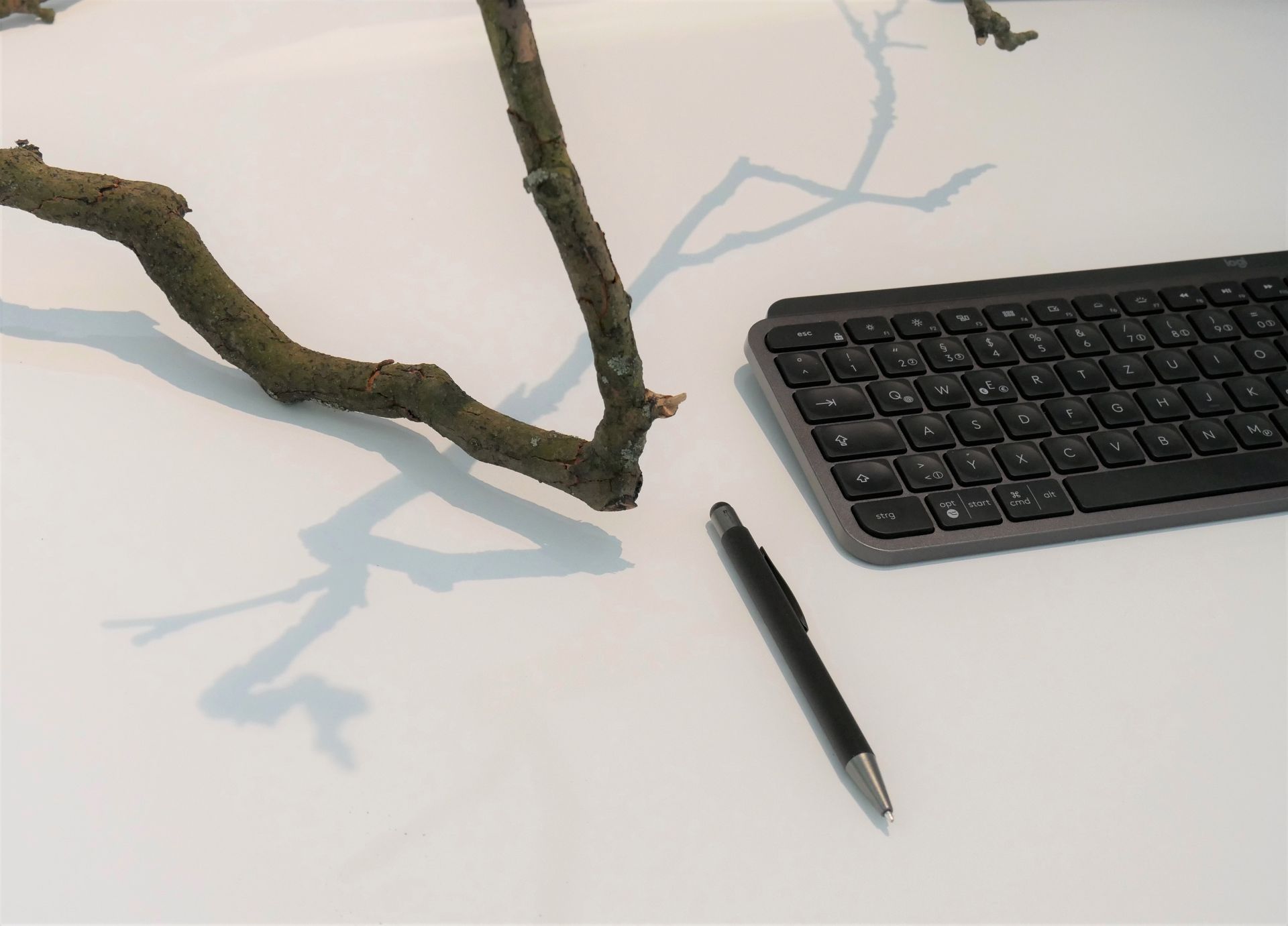 Tastertur, Stift und ein Ast