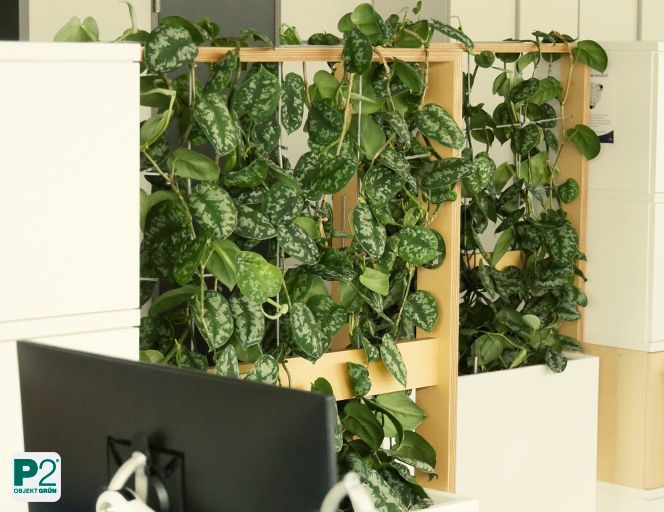 Modernes Büro mit Pflanzen