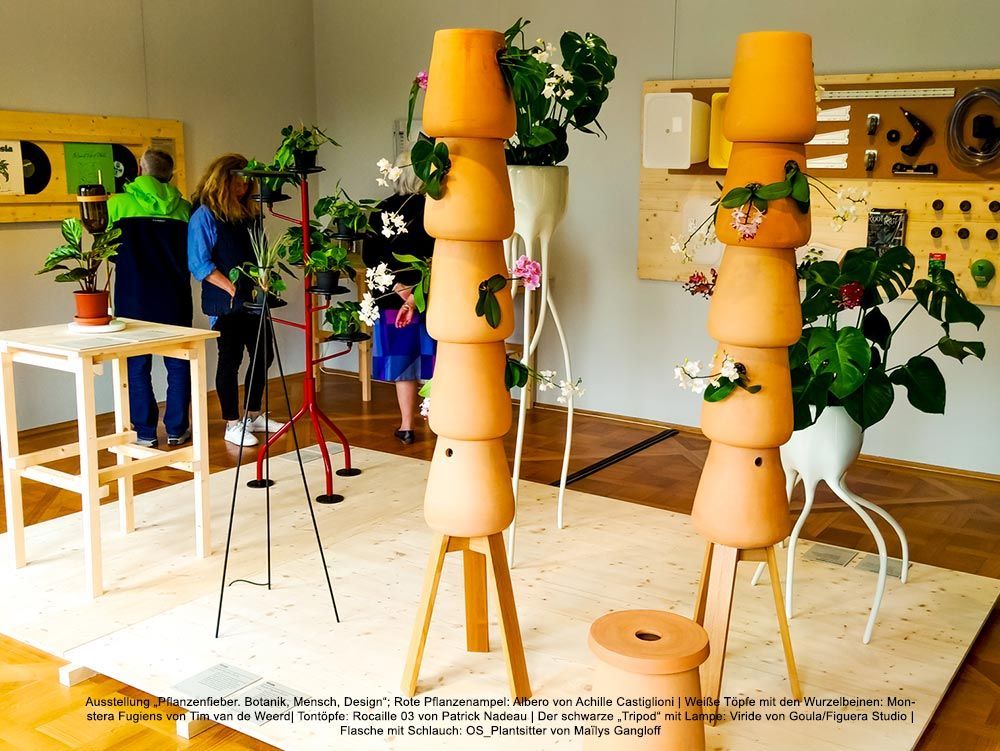 Ausstellung über Pflanzen und Design mit dekorativen Töpfen und Pflanzen.