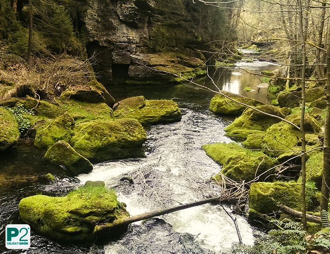 Eine malerische Flusslandschaft mit moosbedeckten Steinen.