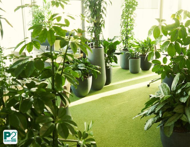 Modernes Büro mit grünen Pflanzen und einer Telefonzelle.