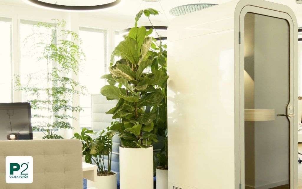 Eine moderne Bürokabine umgeben von Pflanzen in einem hellen Büro.